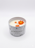 Vela Primavera